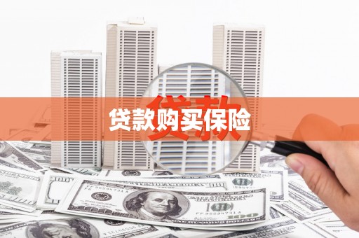 光泽贷款购买保险